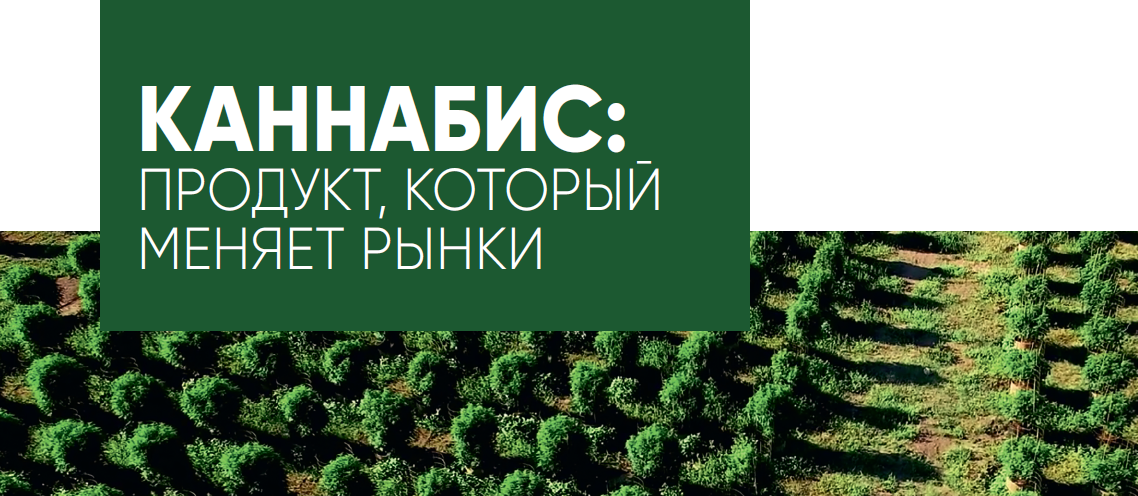 Каннабис: продукт, который меняет рынки