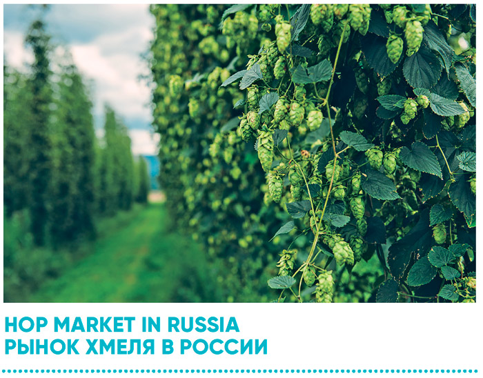 Рынок хмеля в России